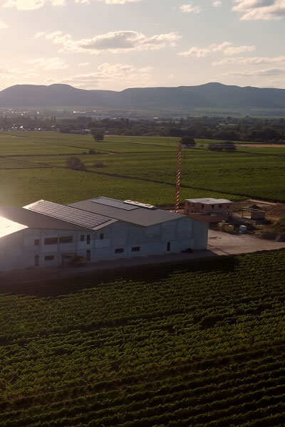 Projekt fotovoltaické v?roby energie pro německé vina?ství 