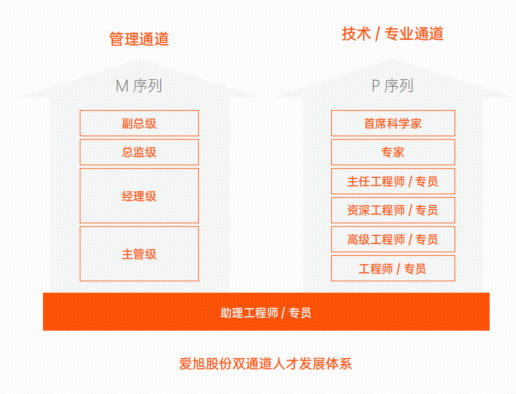 esg-action-social-01 英国·威廉希尔(WilliamHill)中文官方网站