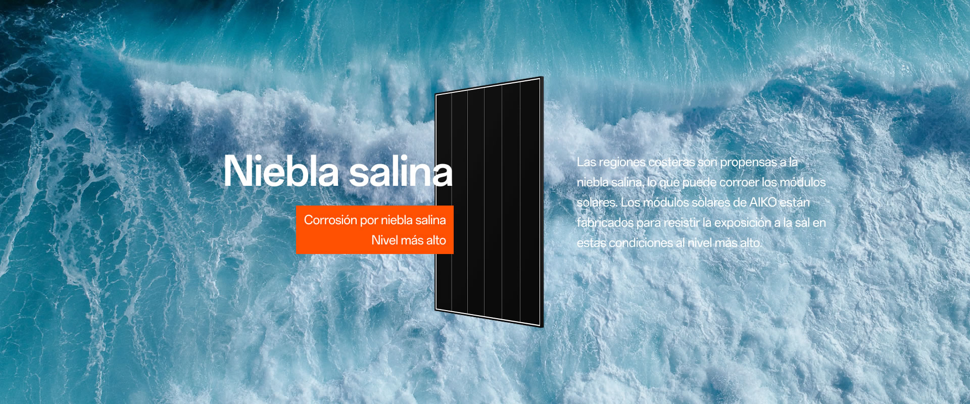 home-extreme-weather-salt-mist-es Niebla salina
