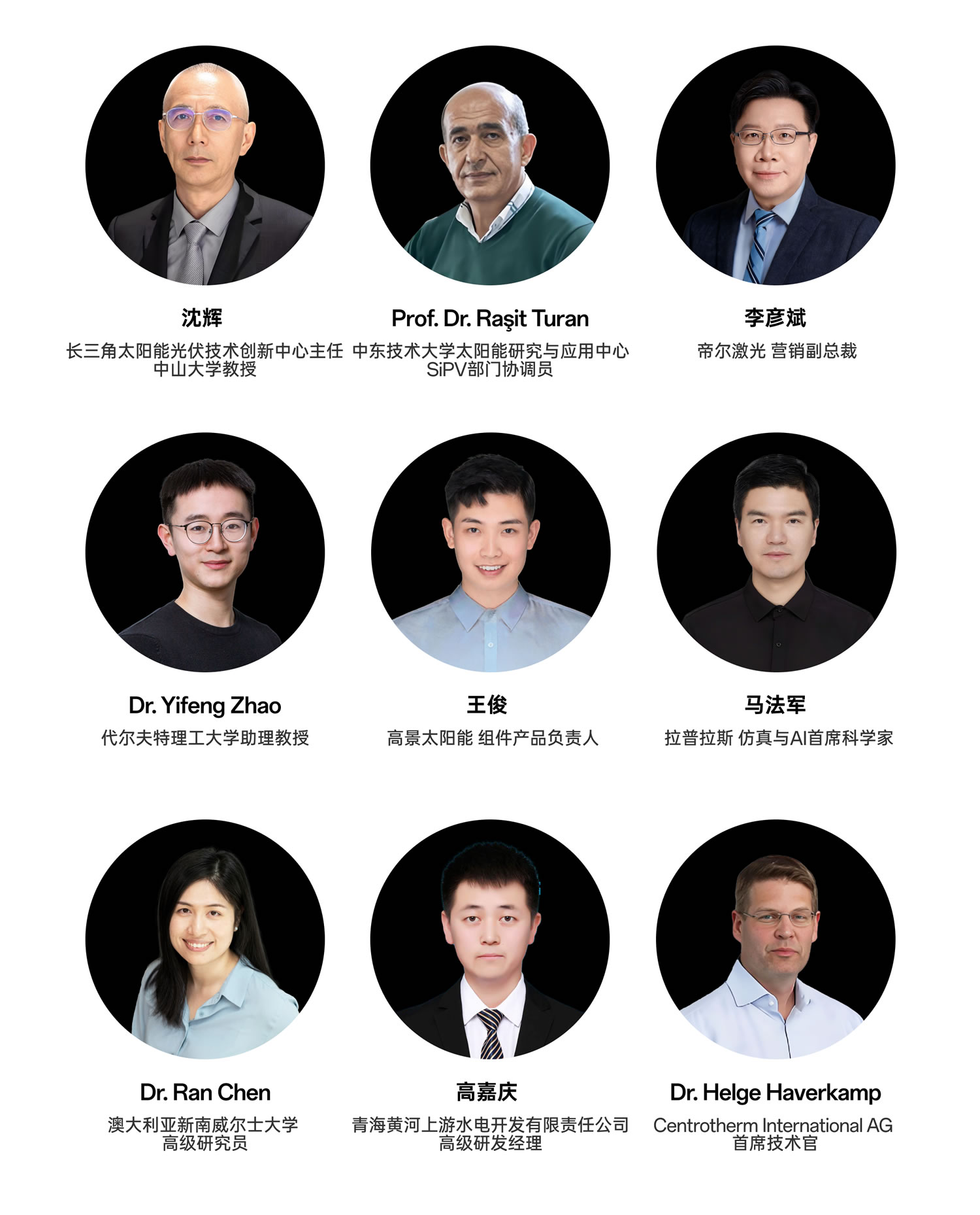 bifi-pv-2025-experts-2-cn-m /大咖云集