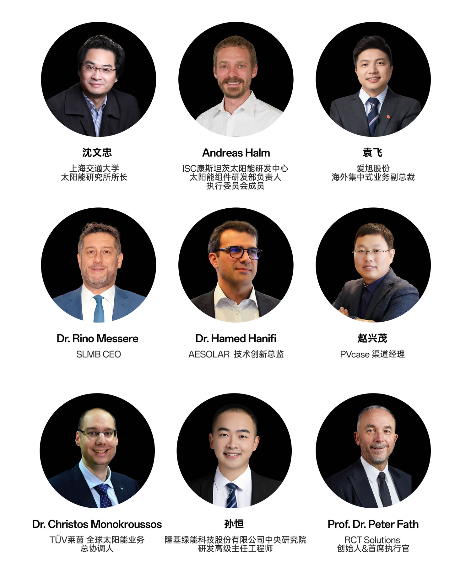 bifi-pv-2025-experts-3-cn-m /大咖云集